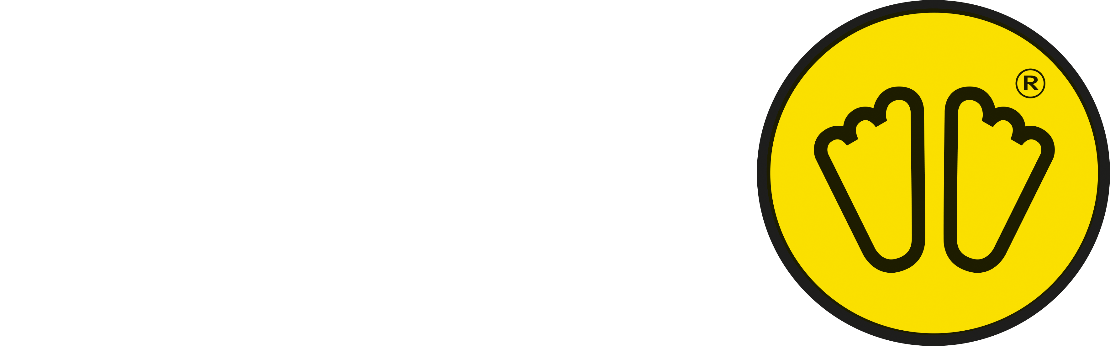 SIDAS Chile